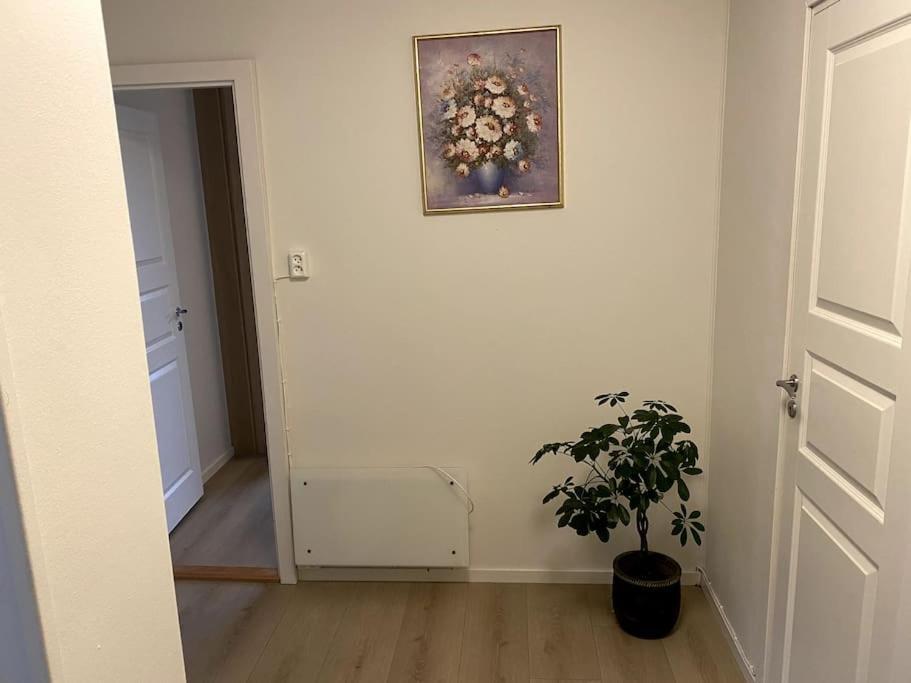 Lovely 2 Bedroom Apartmen With Free Parking Bergen Luaran gambar